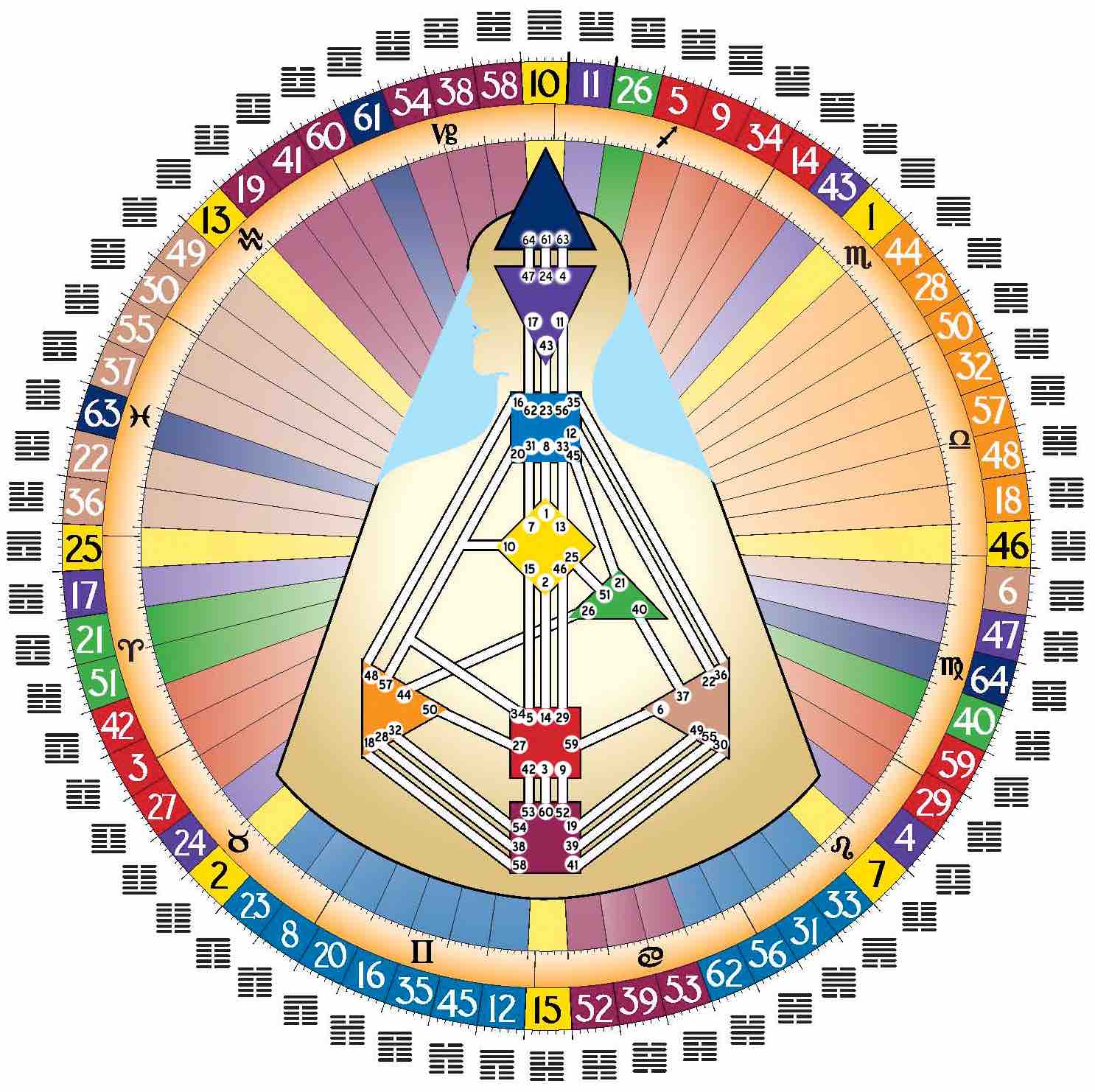 Human Design professional reference